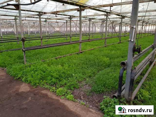 Участок СНТ, ДНП 700 сот. на продажу в Гулькевичах Гулькевичи - изображение 1