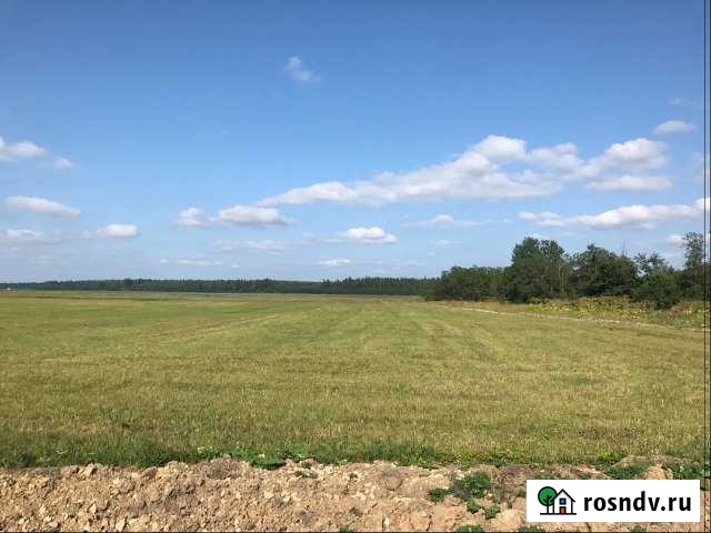 Участок СНТ, ДНП 330 сот. на продажу в Волосово Волосово - изображение 1