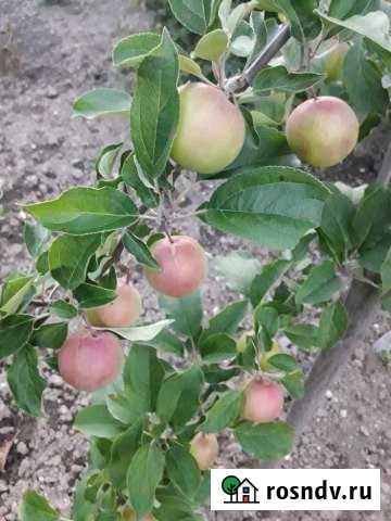 Дом 300 м² на участке 18 сот. на продажу в Полевском Полевской - изображение 1