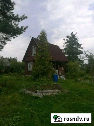 Дача 50 м² на участке 6 сот. на продажу в Синявино Синявино - изображение 1