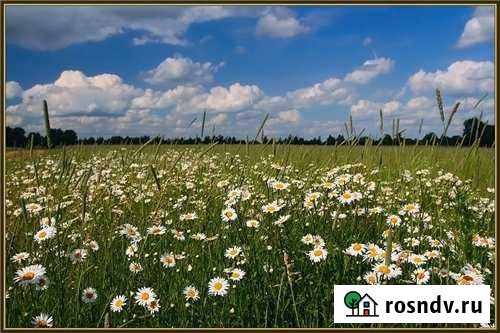 Участок ИЖС 15 сот. на продажу в Заворонежском Заворонежское - изображение 1