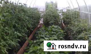 Дача 50 м² на участке 8 сот. на продажу в Чердаклах Чердаклы - изображение 1