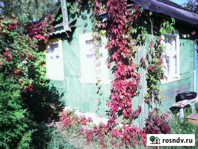 Дача 20 м² на участке 4.5 сот. на продажу в Бору Бор - изображение 1