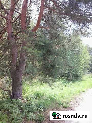 Участок ИЖС 15 сот. на продажу в Ново-Талицах Ново-Талицы - изображение 1