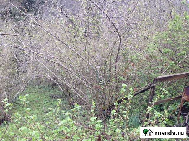 Дача 60 м² на участке 32 сот. на продажу в Сочи Сочи - изображение 1