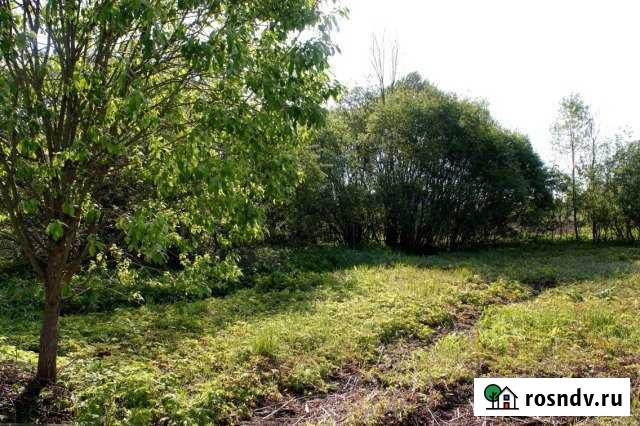 Участок СНТ, ДНП 10 сот. на продажу на Лугах Луга - изображение 1