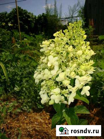 Дом 26 м² на участке 11 сот. на продажу в Волгодонске Волгодонск - изображение 1