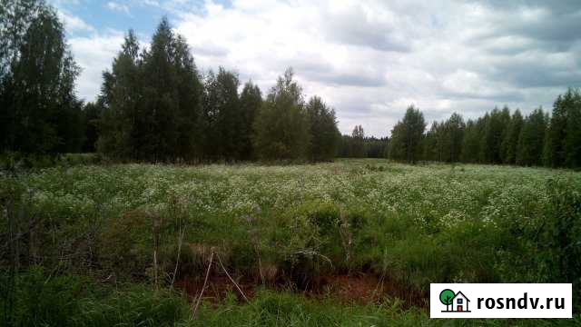 Участок СНТ, ДНП 749 сот. на продажу в Дубровке Ленинградской области Дубровка - изображение 1