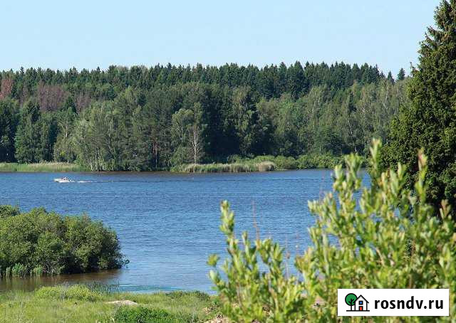 Участок ИЖС 32 сот. на продажу в Некрасовском Московской области Некрасовский - изображение 1