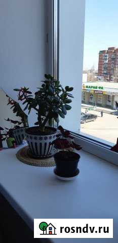 1-комнатная квартира, 34 м², 3/6 эт. на продажу в Бийске Бийск - изображение 1