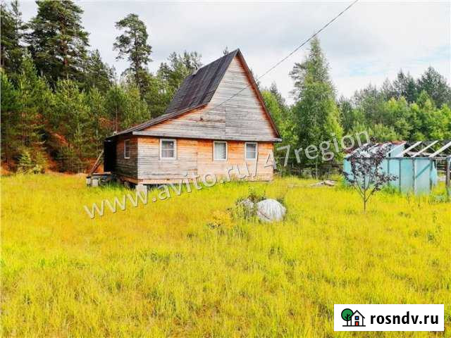 Дача 50 м² на участке 8 сот. на продажу в Киришах Кириши - изображение 1