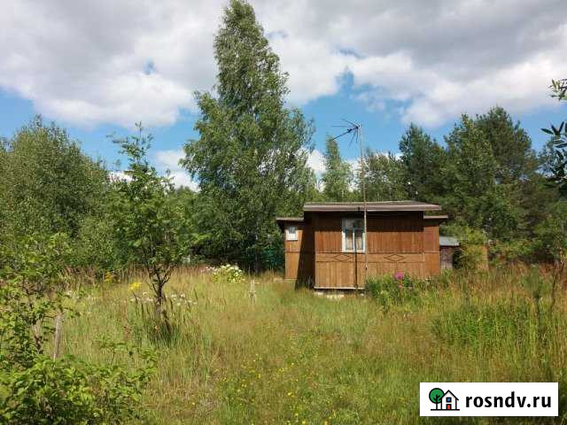 Дача 20 м² на участке 6 сот. в аренду на длительный срок в Электрогорске Электрогорск - изображение 1