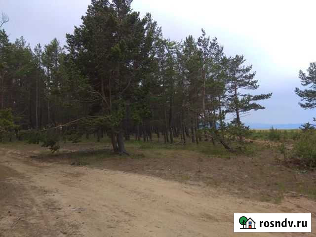 Участок ИЖС 100 сот. на продажу в Турунтаево Турунтаево - изображение 1