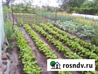 Участок СНТ, ДНП 6 сот. на продажу в Супонево Супонево - изображение 1