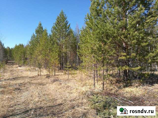 Участок СНТ, ДНП 24 сот. на продажу в Монетном Монетный - изображение 1