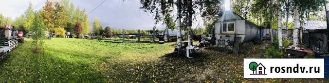 Участок СНТ, ДНП 6 сот. на продажу в Нефтеюганске Нефтеюганск - изображение 1