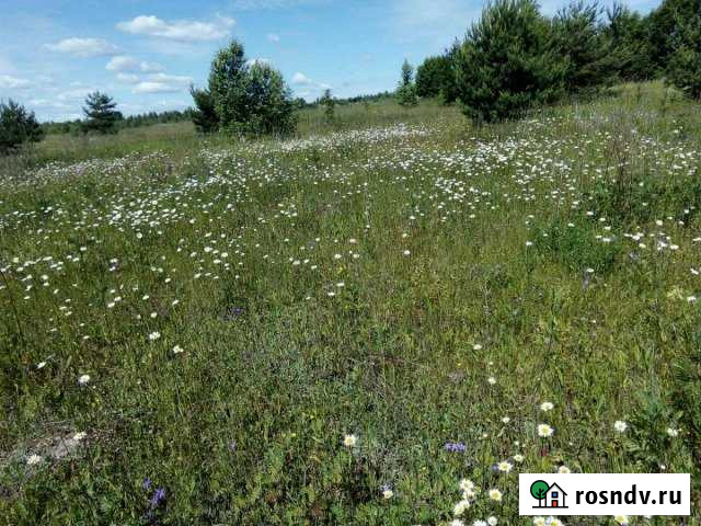 Участок ИЖС 400 сот. на продажу в Арзамасе Арзамас - изображение 1