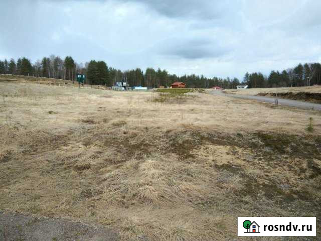 Участок СНТ, ДНП 10 сот. на продажу во Всеволожске Всеволожск - изображение 1