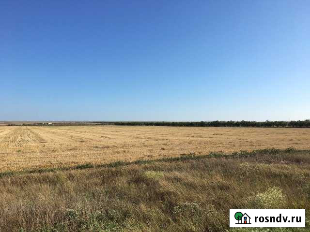 Участок СНТ, ДНП 1085 сот. на продажу в Черноморском Республики Крым Черноморское - изображение 1