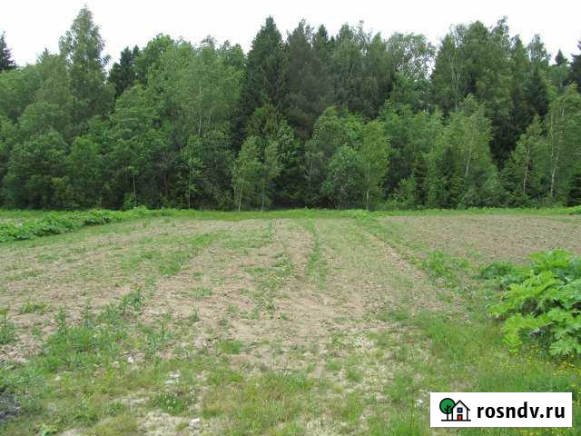 Участок СНТ, ДНП 5 сот. на продажу в Правдинском Правдинский - изображение 1