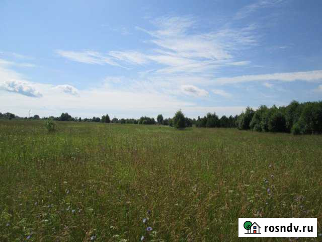 Участок ИЖС 11 сот. на продажу в Судогде Судогда - изображение 1