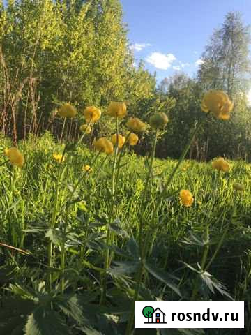 Участок ИЖС 6 сот. на продажу в Кашине Кашин - изображение 1