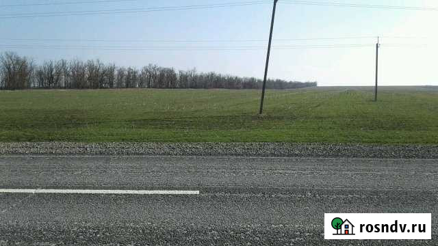 Участок СНТ, ДНП 44 сот. на продажу в Таганроге Таганрог - изображение 1