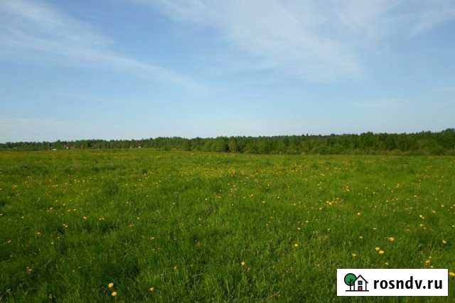 Участок СНТ, ДНП 120 сот. на продажу в Гатчине Гатчина - изображение 1