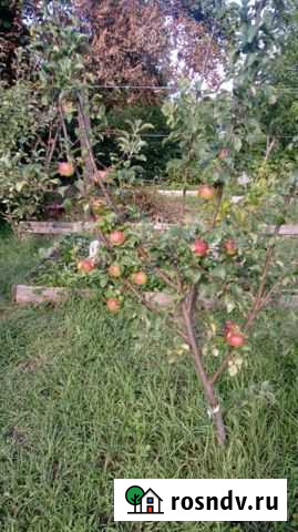 Участок СНТ, ДНП 6 сот. на продажу в Абинске Абинск - изображение 1