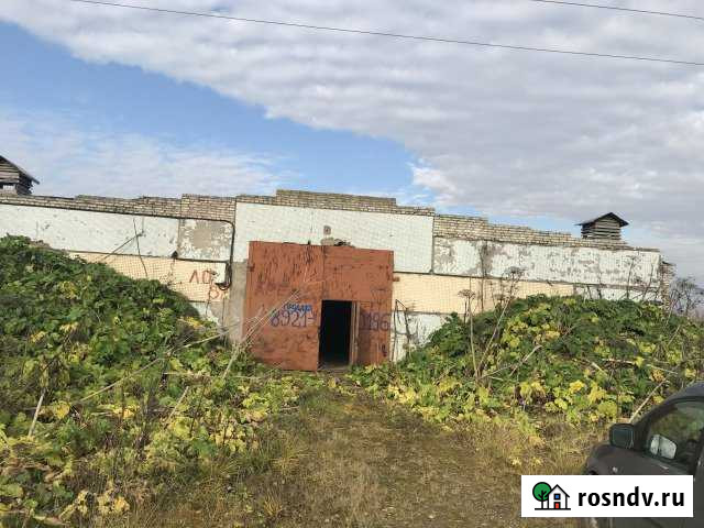 Здание корнеплодо хранилище, 1281 кв.м. д. Поги Форносово - изображение 1