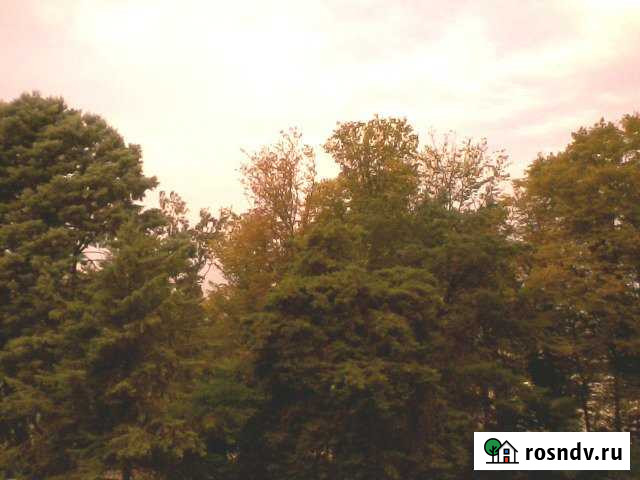 Участок СНТ, ДНП 830 сот. на продажу в Арсеньево Арсеньево - изображение 1