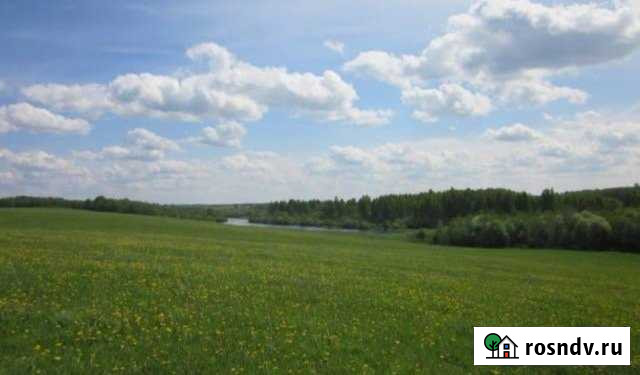 Участок СНТ, ДНП 900 сот. в аренду на Лугах Луга - изображение 1