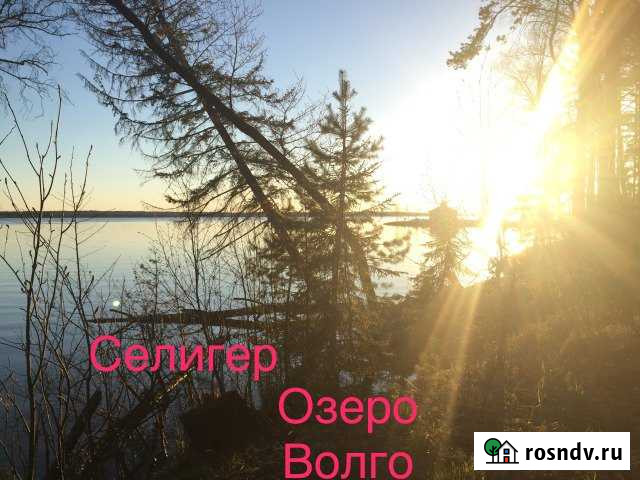 Дом 120 м² на участке 20 сот. в аренду посуточно в Селижарово Селижарово - изображение 1