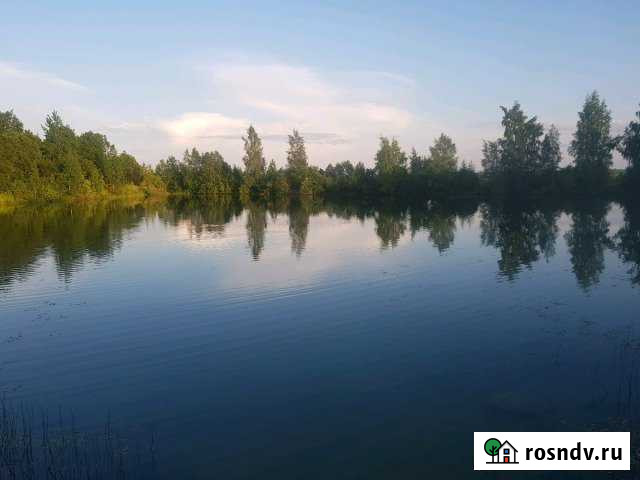 Участок ИЖС 25 сот. на продажу в Толмачево Ленинградской области Толмачево - изображение 1