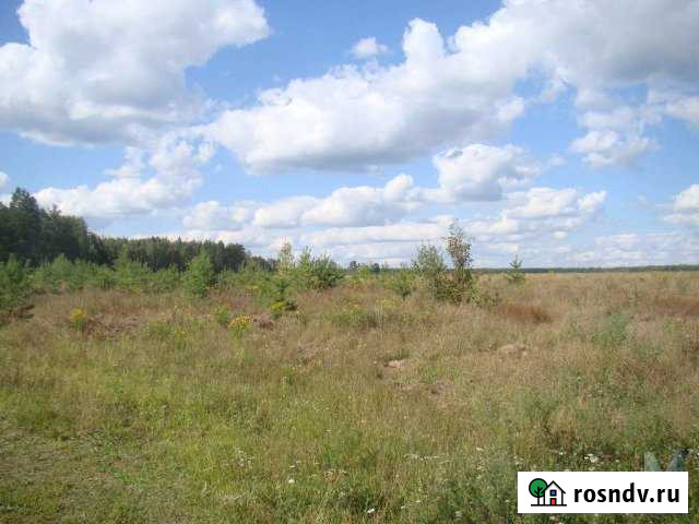 Участок промназначения 200 сот. на продажу в Новой Маке Новая Мака - изображение 1