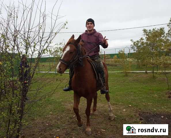 Участок ИЖС 28 сот. на продажу в Привольной Привольная - изображение 1