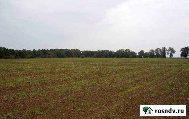 Участок СНТ, ДНП 2700 сот. на продажу в Тюменцево Тюменцево - изображение 1