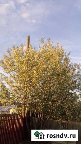 Дом 30 м² на участке 7.5 сот. на продажу в Излучинске Излучинск - изображение 1