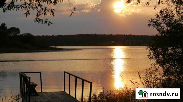 Участок СНТ, ДНП 6 сот. на продажу в Рузе Руза - изображение 1