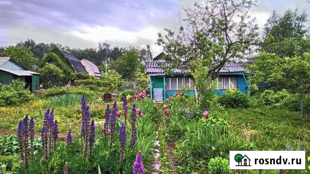 Участок СНТ, ДНП 6 сот. на продажу в Пироговском Пироговский - изображение 1