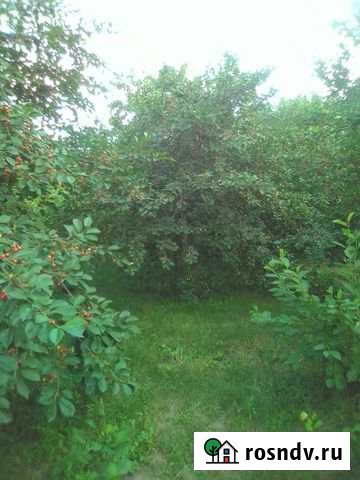 Дача 20 м² на участке 6 сот. на продажу в Таганроге Таганрог - изображение 1