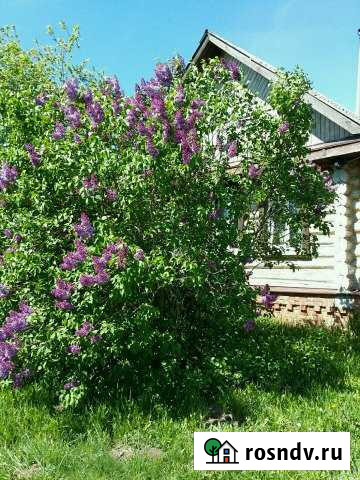 Дом 70 м² на участке 30 сот. на продажу в Суздале Суздаль - изображение 1