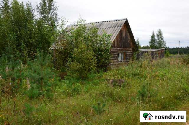 Участок СНТ, ДНП 12 сот. на продажу в Тихвине Тихвин - изображение 1