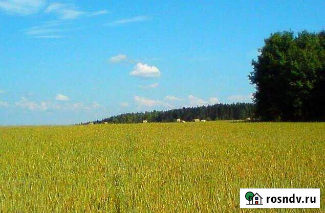 Участок СНТ, ДНП 900 сот. на продажу в Лямино Лямино - изображение 1