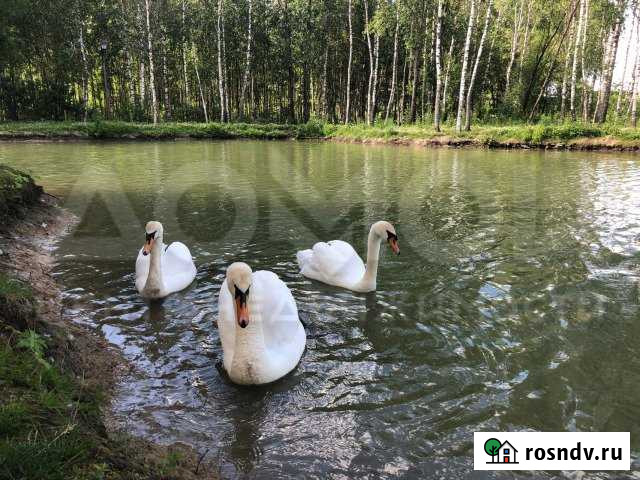 Участок СНТ, ДНП 23 сот. на продажу в Рождествено Московской области Рождествено - изображение 1