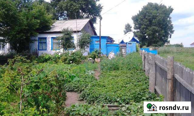 Дом 52.8 м² на участке 22 сот. на продажу в Леньках Леньки - изображение 1