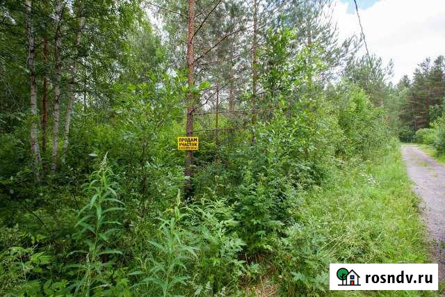 Участок СНТ, ДНП 16 сот. на продажу в Саперном Саперное - изображение 1