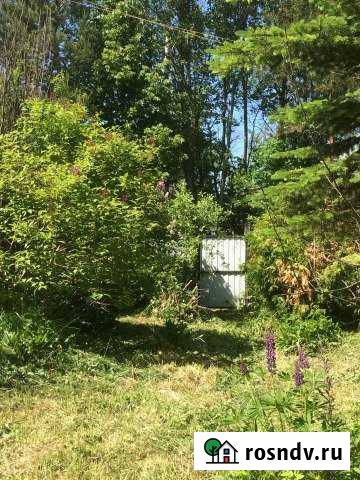 Дача 70 м² на участке 6 сот. на продажу в Дорохово Дорохово - изображение 1