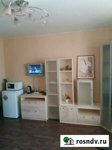 Квартира-студия, 30 м², 10/17 эт. в аренду посуточно в Челябинске Челябинск - изображение 1