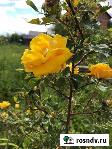 Гараж 27 м² на продажу в Дюртюлях Дюртюли - изображение 1